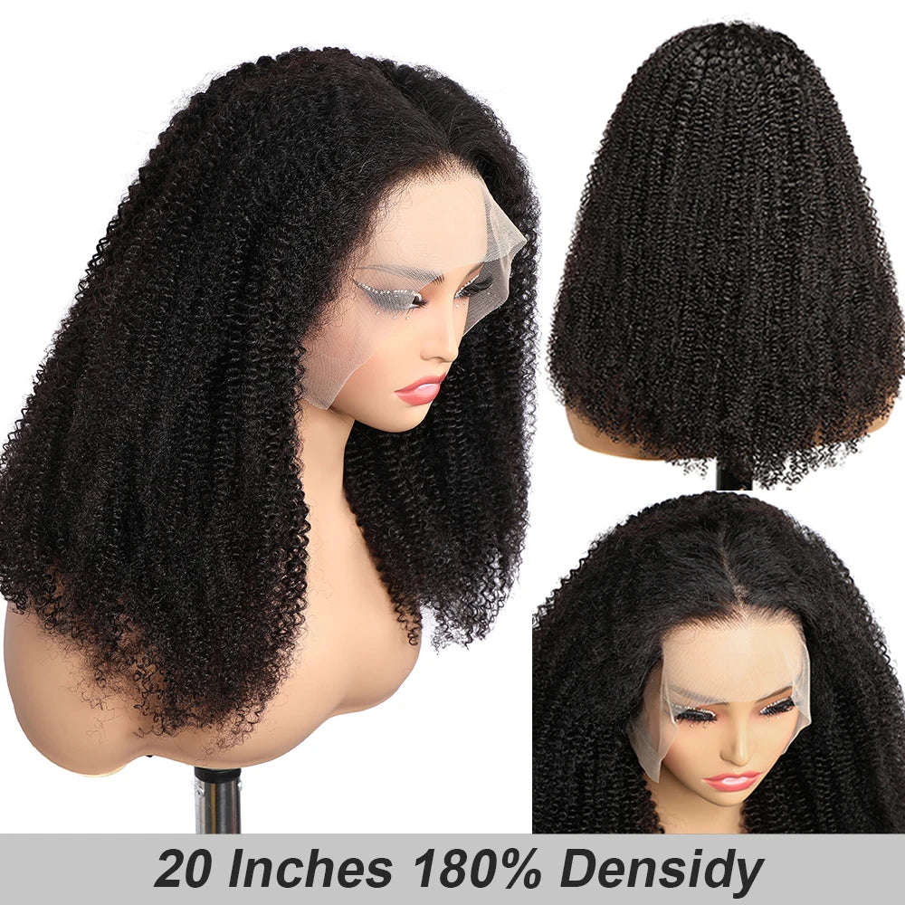 perruque afro 100% human hair